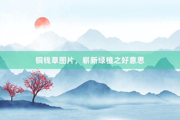 铜钱草图片，崭新绿植之好意思